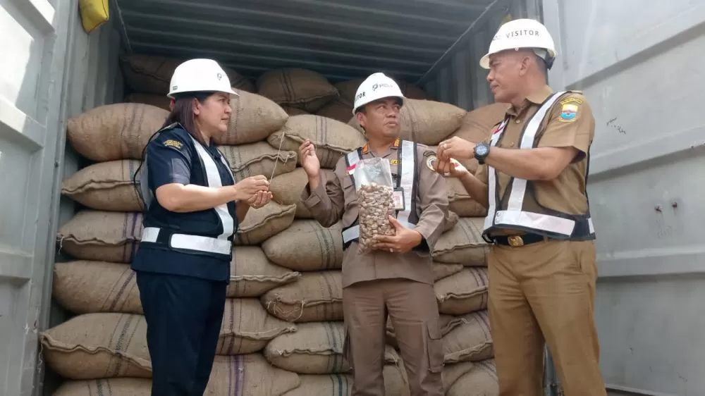 negara tujuan ekspor pinang dari indonesia