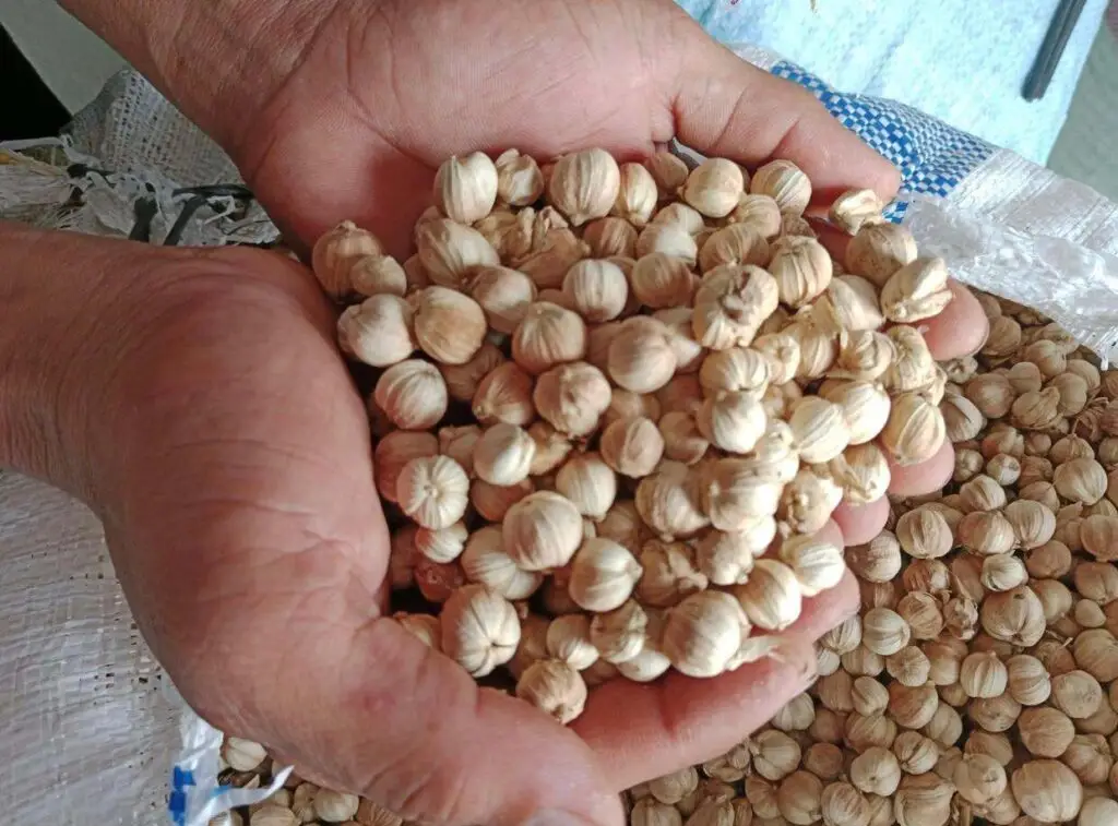 s293f4201fee34a1bb1771fa39e559cdb4