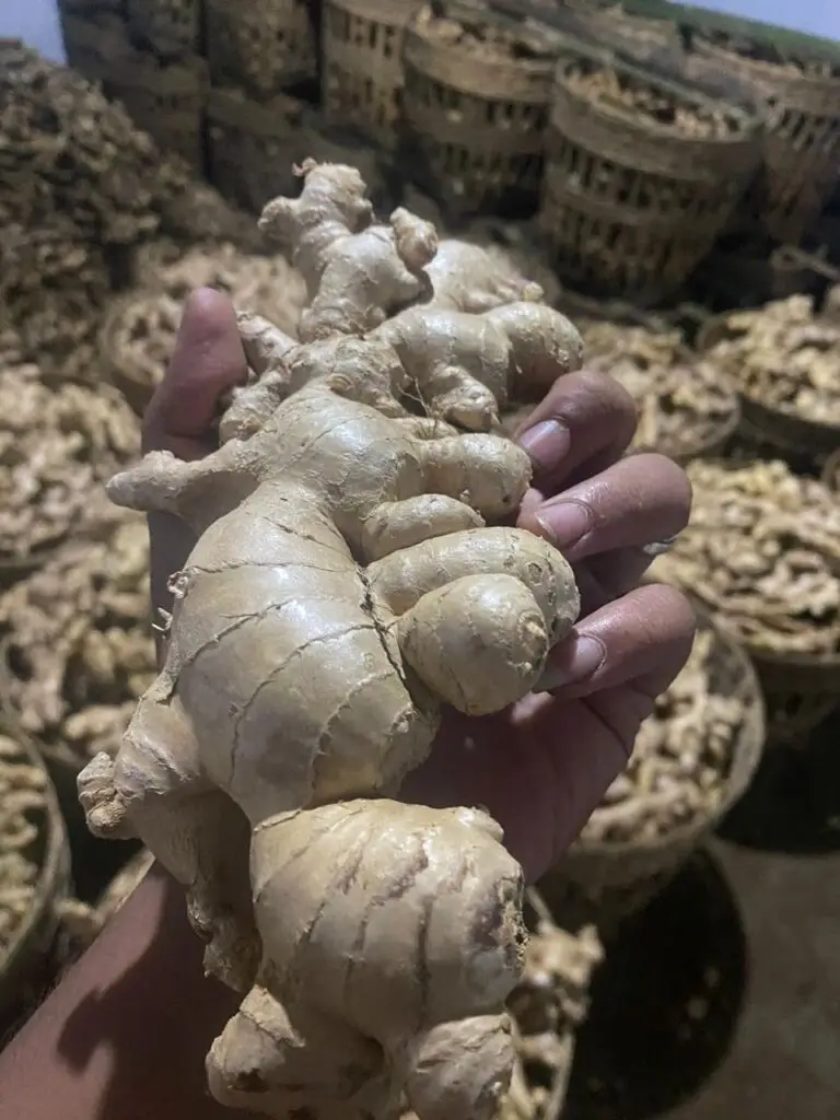 ae3094b4 2d18 4e21 80b2 ac7f3f13e478