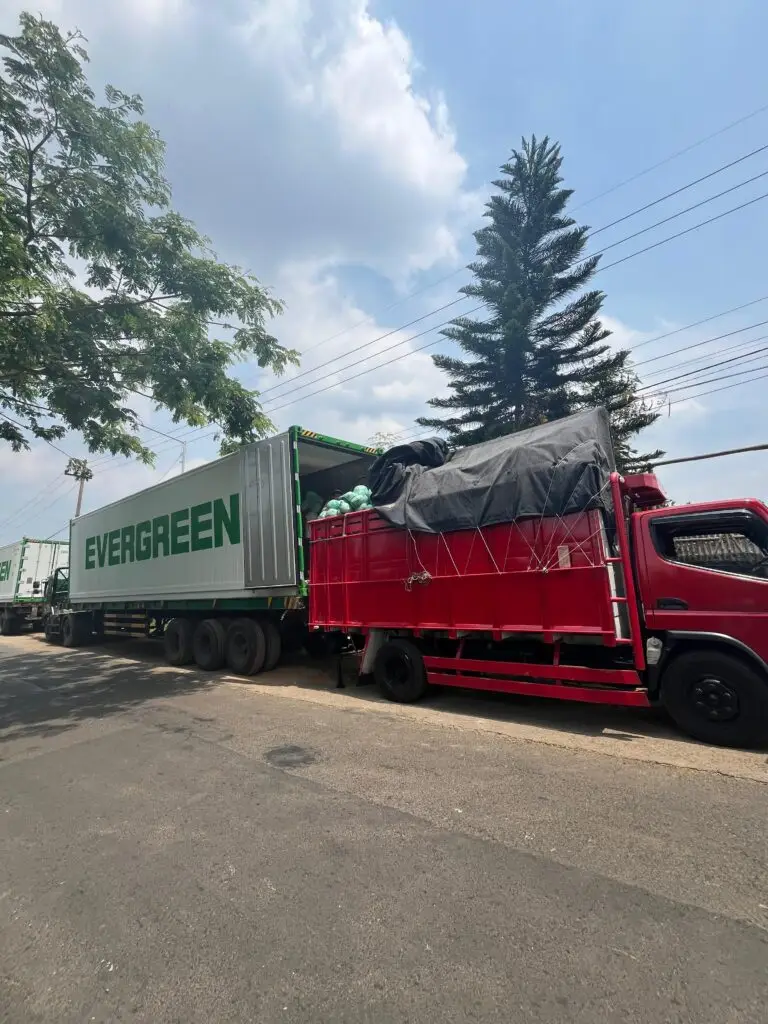 edc0c679 64cc 4e35 b39c d0ecb86b1946